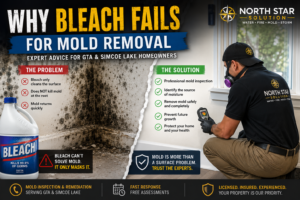 Woman avoiding bleach spray on moldy wall in Toronto basement